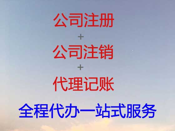 百色公司个体工商户注册-公司减资变更